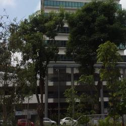 TRIVEX (D13), Factory #43885072